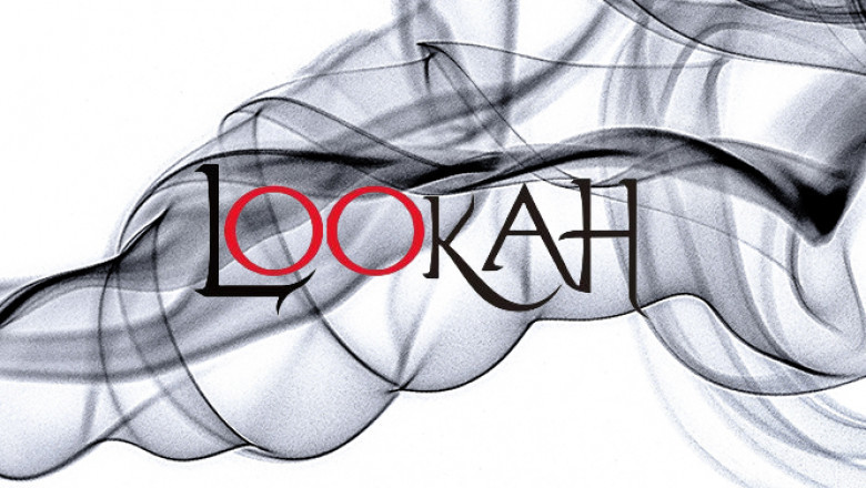 Building a Loyal Fanbase in the Cannabis Accessory World: Mastering the Art with Electric Dab Rigs, Glass Bongs and Lookah