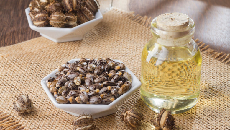 Castor Oil Derivatives Market is Estimated to Witness High Growth Owing to Enzymatic Modification