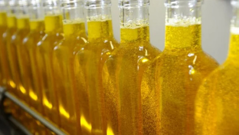 Edible Oil Market Forecast: Growth Trends, Drivers, Challenges, and Future Opportunities Worldwide