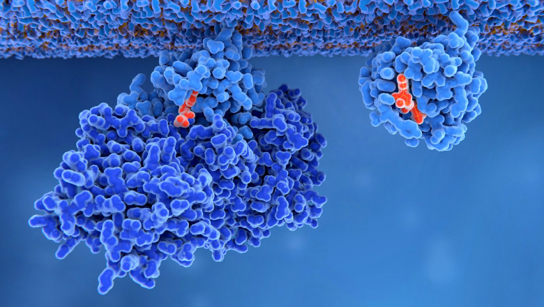 Global Kras Inhibitors Market is Anticipated to Witness High Growth Owing to Innovations in Targeted Therapies
