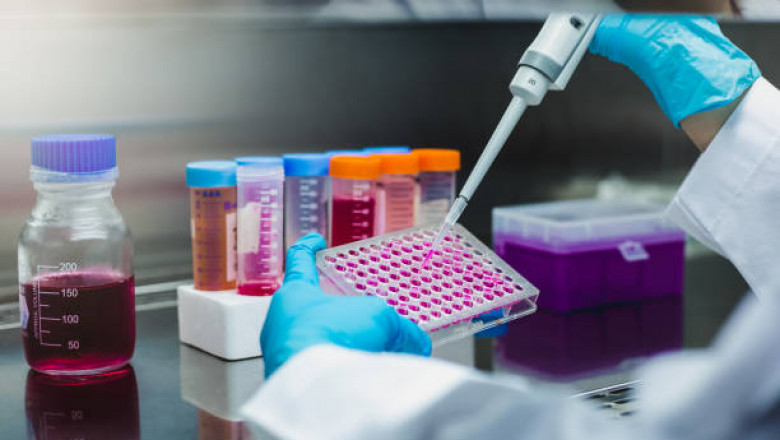 How Sweden Aging Population is Driving the Demand for Point-of-Care Testing in In-Vitro Diagnostics Market (IVD)