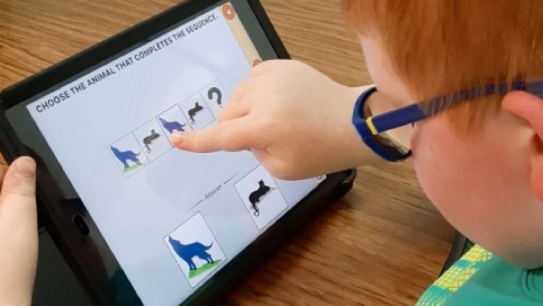 Interactive Displays: A Tool for Developing Critical Thinking Skills