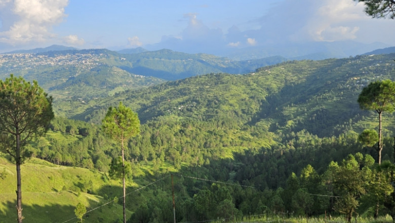 land price in uttarakhand
