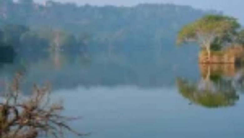 Padam Talao: The Shimmering Soul of Ranthambore