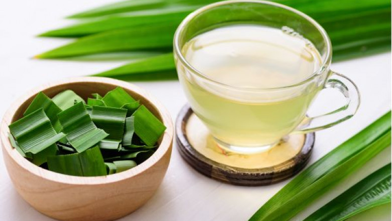 Pandan Tea Market: A Fragrant Fusion of Wellness and Tradition