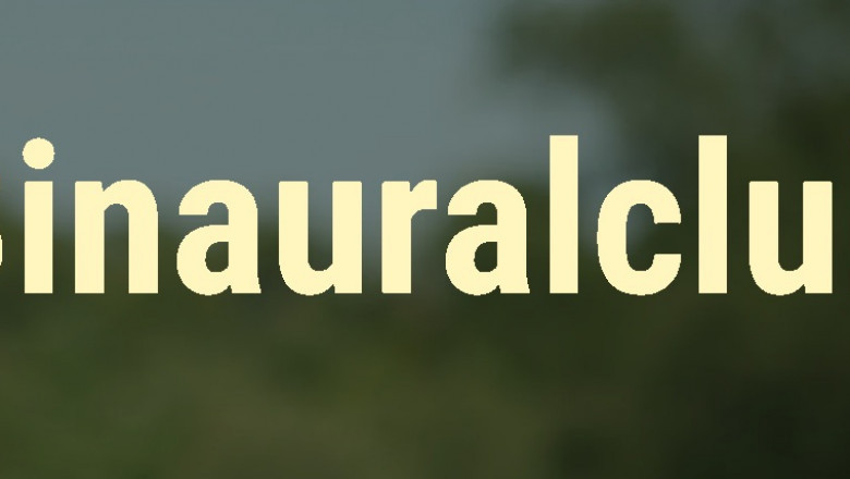 Using Audio Technology: A Full Guide to Binaural Beats and Holosync Meditation