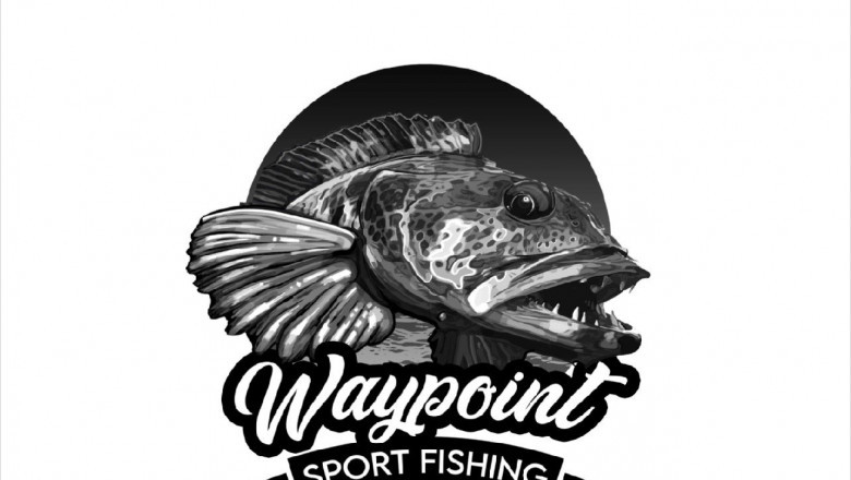 Waypoint Sportfishing Enhances Local Angling Experience with Premier Charter Services