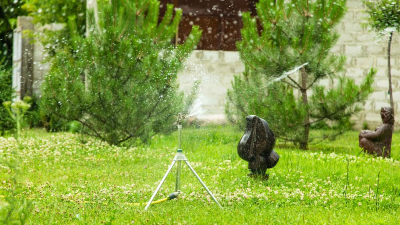 What I Learned From Using Quality Green’s Weed Spray This Year