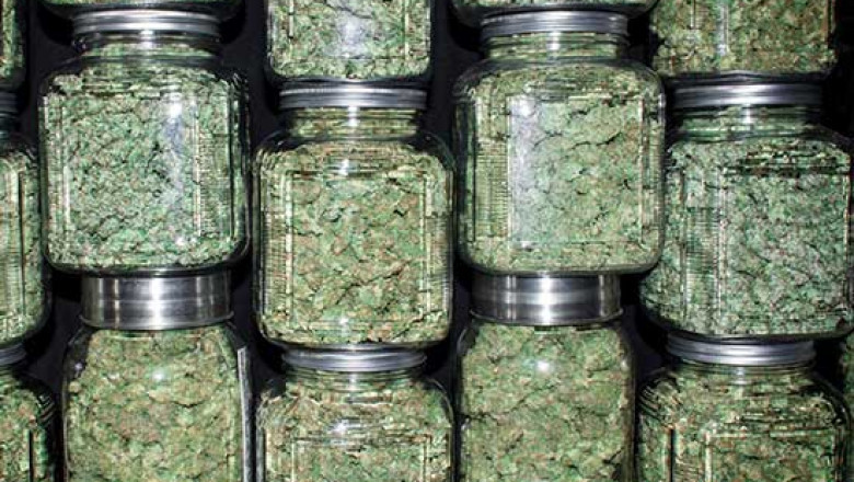 Why Should I Choose a Recreational Cannabis Dispensary Near Me in Massachusetts?