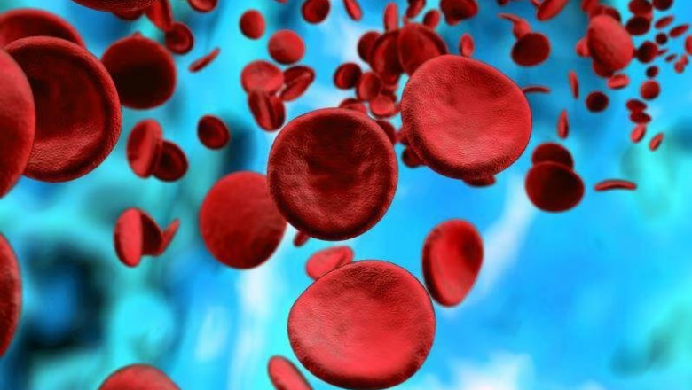 Alpha Thalassemia Market is Anticipated to Witness Growth Owing to Market Opportunities