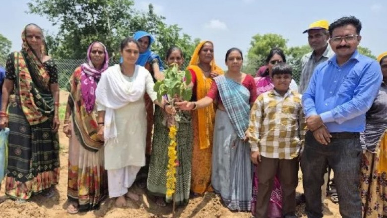 Astral Foundation Plants 10,000 Trees