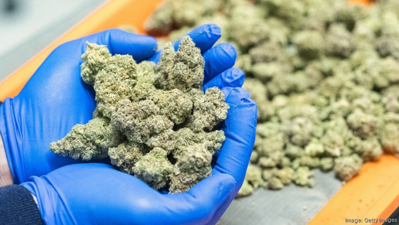 Exploring the Cannabis Packaging Market: Size, Growth Outlook, and Regional Forecast