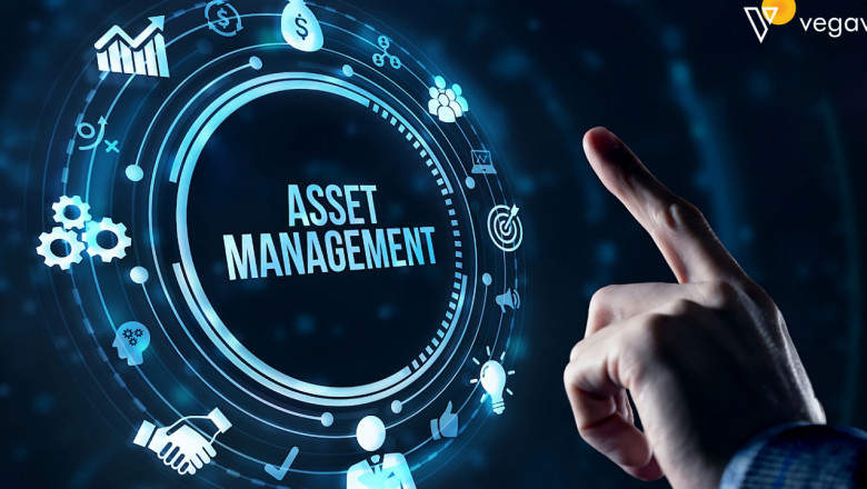 Exploring the Digital Asset Management Systems Market: Trends and Forecast Insights