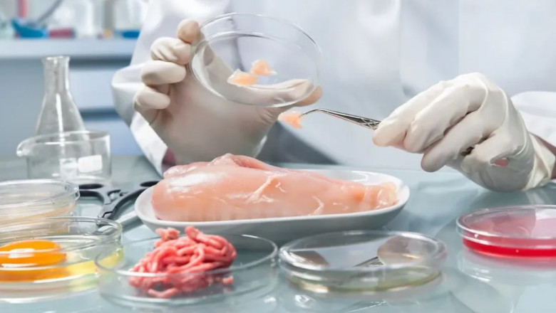 Global Food Safety Testing Equipment and Consumables Market Size, Analysis and Forecast 2022 - 2030