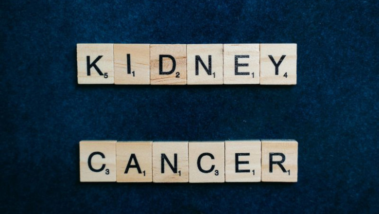 Global Kidney Cancer Drugs Market Report 2032
