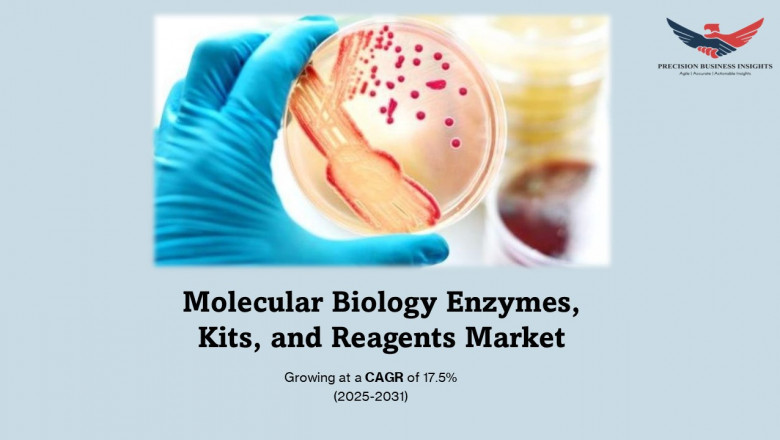 Molecular Biology Enzymes, Kits, and Reagents Market Report 2031
