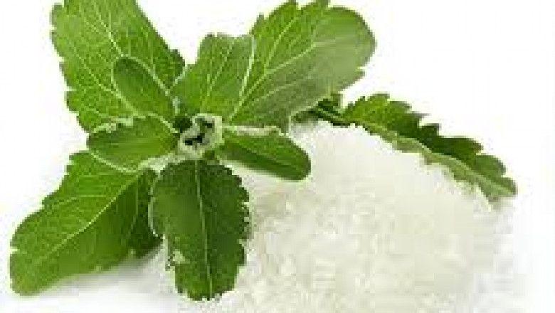 Organic Stevia Market Hindrances: Key Obstacles Impacting Industry Progress