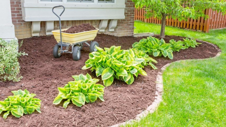 Spring Garden Bed Prep and Mulching: The Secret to a Thriving Business Landscape in Everett