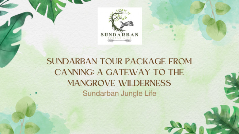 Sundarban Tour Package from Canning: A Gateway to the Mangrove Wilderness