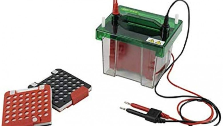 Western Blotting Processors Market Sees Uptick Due to Increasing Chronic Diseases and Biomarker Research