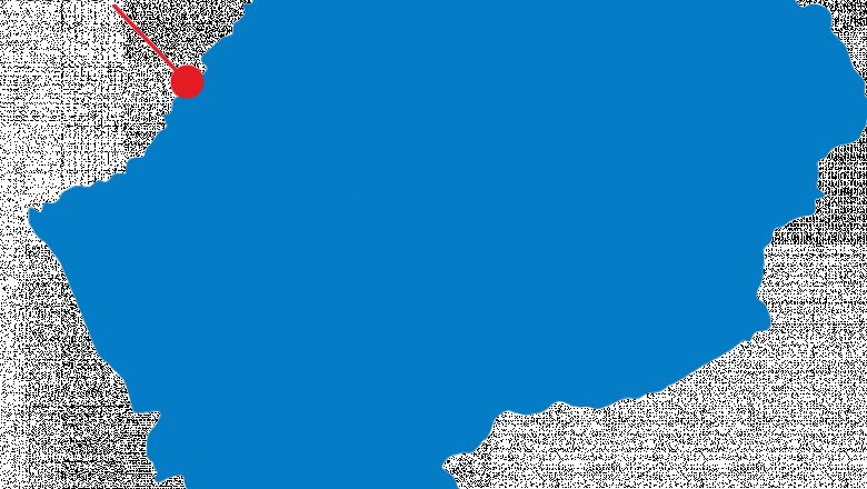 Access Detailed Lesotho Import Data for Smart Trade Decisions