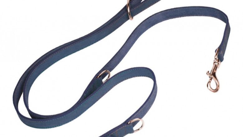 Dog Lead Gloria Oasis Multiple 2.1 x 200 cm Blue - Qubyk UK