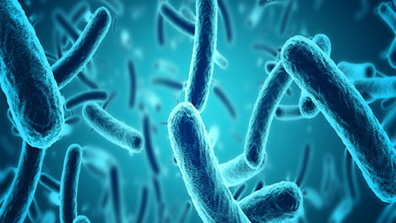 How Vermact 6mg Treats Parasitic Infections Effectively