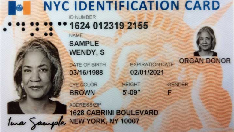 Florida Fake ID: Everything You Need to Know Before You Buy