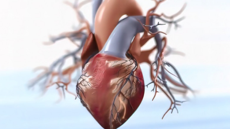 Checkpoint Inhibitor Refractory Cancer Market to Surge Owing to Innovative Therapies