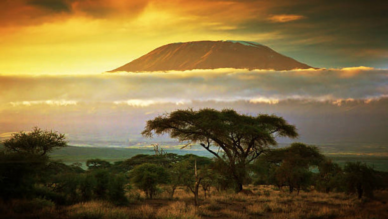 Why a Kenya Should Be on Your Bucket List