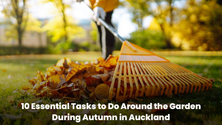 10 Essential Tasks to Do Around the Garden During Autumn in Auckland | Lawn Masters
