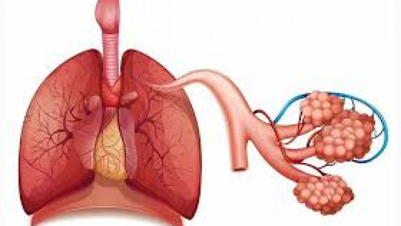 Bronchial Spasm Market Poised for Growth on Rising Asthma Cases