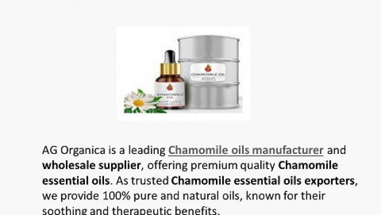 Buy Pure Chamomile Oil in Bulk from AG Organica