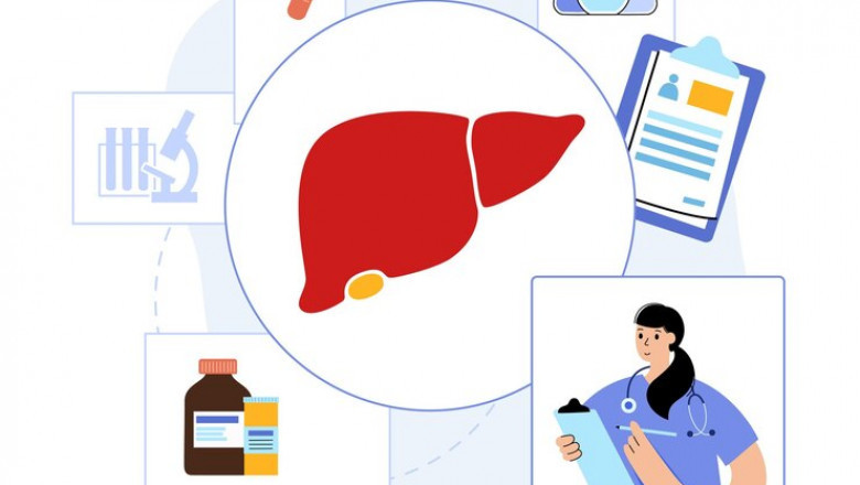 Diabetic Gastroparesis Treatment Market Impacting Factors Shaping Future Therapeutic Advancements Worldwide