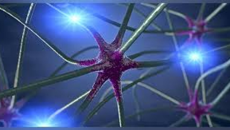 Giant Axonal Neuropathy (GAN) Market to Grow Due to Gene Therapy Advances
