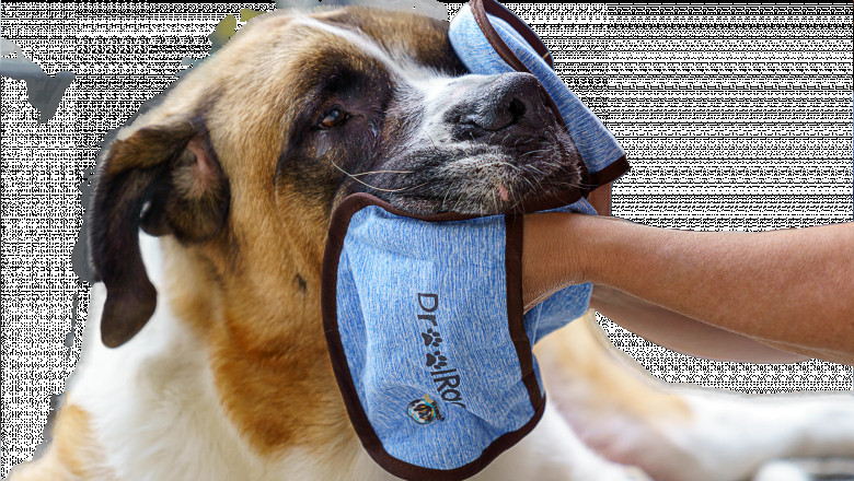 HugeHounds.com: Offering The Most Efficient Dog Slobber Catcher