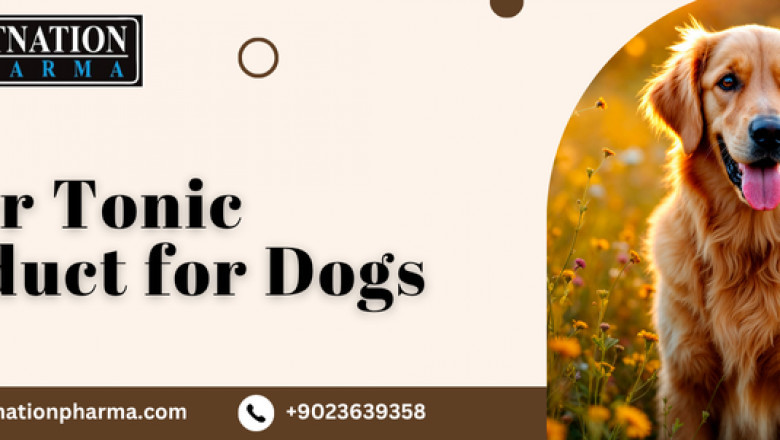 Liver Tonic Product for Dogs