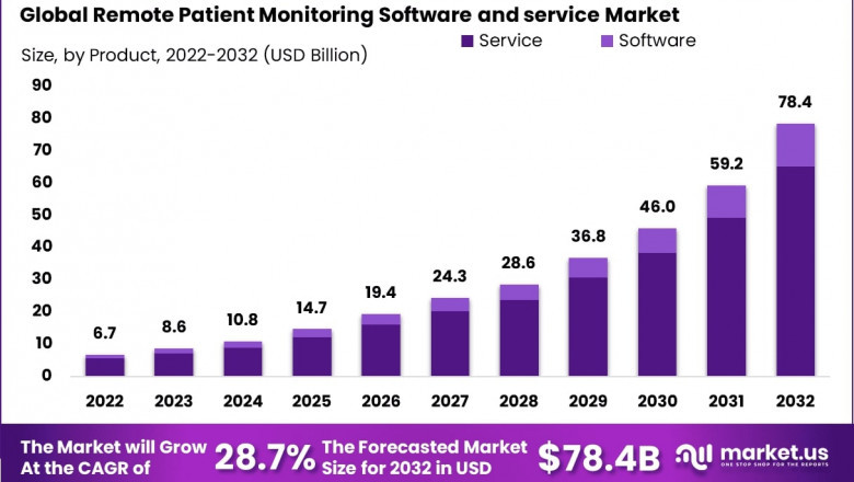 Remote Patient Monitoring Software and Services Market Developer Ecosystem and API Integration