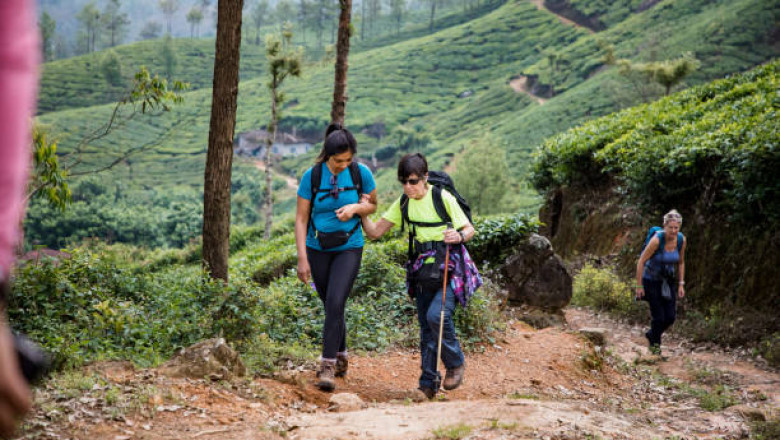 Backwaters &amp; Hills: Kerala Packages Designed for under 10000