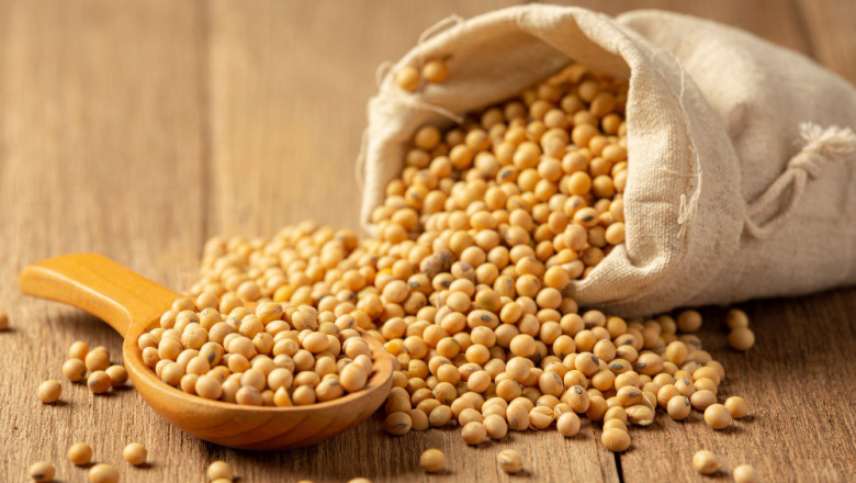 Exploring the Pea Protein Market: Health Trends Fueling Global Growth