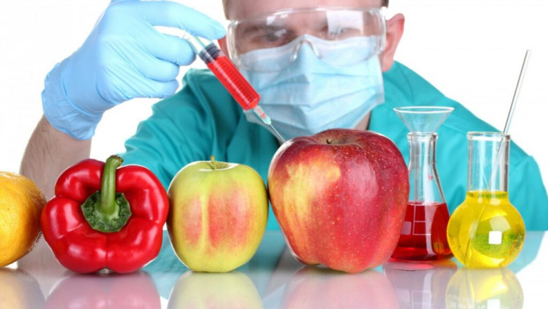 Genetically Modified Feed Market to Soar on Enhanced Nutrient Efficiency