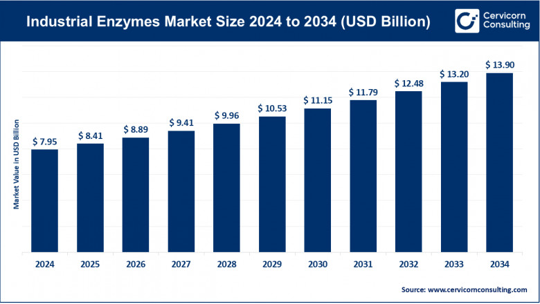 Industrial Enzymes Market Trends, Demand and Forecast to 2034