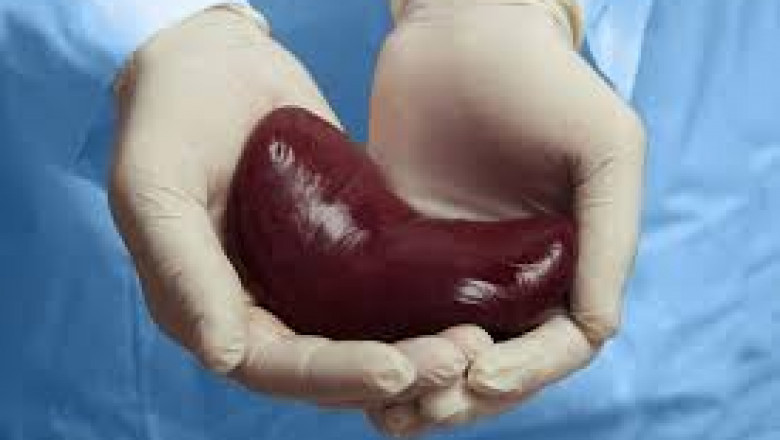 Kidney Transplant Rejection Market to Grow with Immunological Research