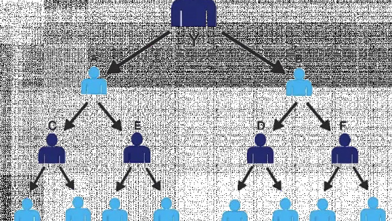 Top Features of the Best Multi-Level Marketing Software in India