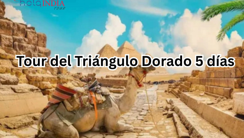Tour del Triángulo Dorado 5 días: Un Viaje Esencial por el Corazón de la India
