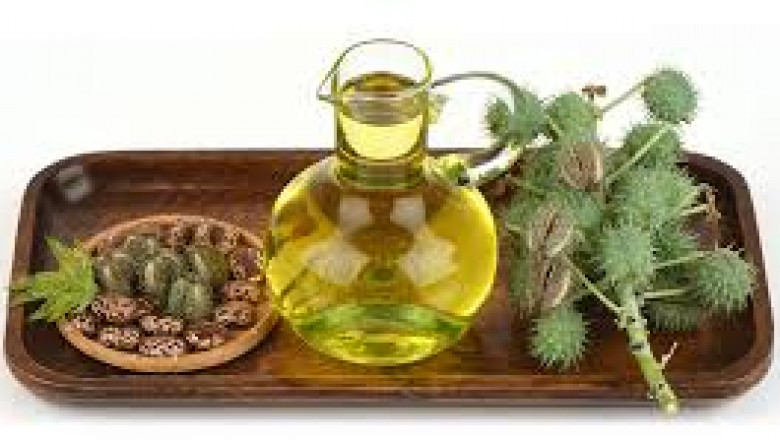 What Fuels Europe’s Demand for Bio-Based Castor Oil Derivatives?