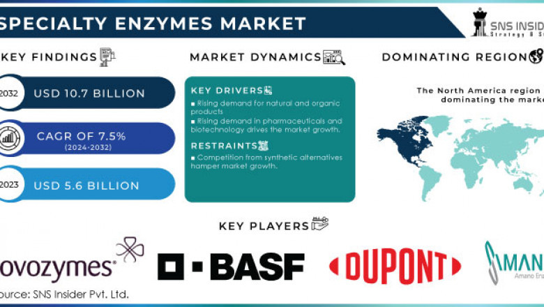 Why Are Specialty Enzymes Popular in US Personal Care Products?