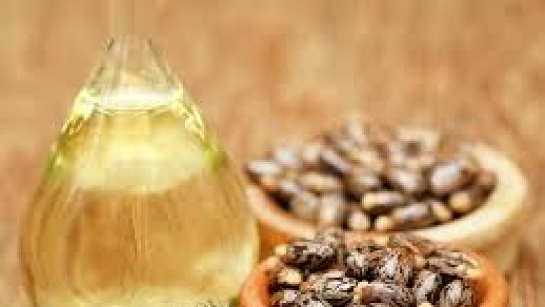 Are Bio-Based Oleochemicals Replacing Petrochemicals in US Industries?