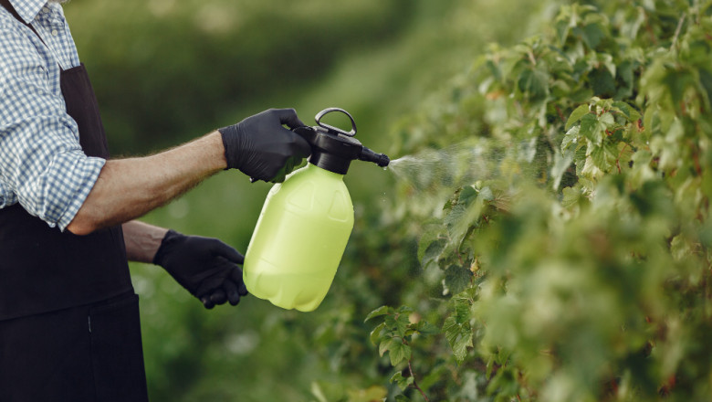 Crop Protection Chemicals Market Share, Opportunities, and Regional Insights