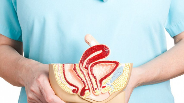 Educate Before You Operate: The Need for Awareness on Genital Diversity